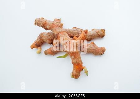 Close up fresh raw organic turmeric curcuma roots isolated on white background with clipping path Stock Photo