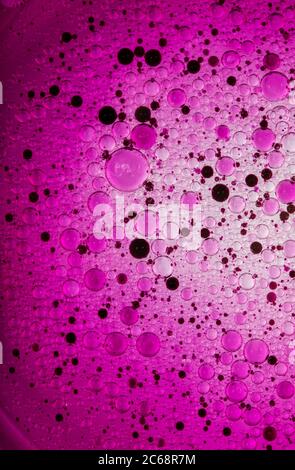 Oil bubbles in water. Pink and purple colors  and black. Stock Photo