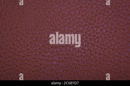 Shiny leather background. Stock Photo