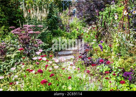 A garden path between shrub and herbaceous borders in an English country garden.