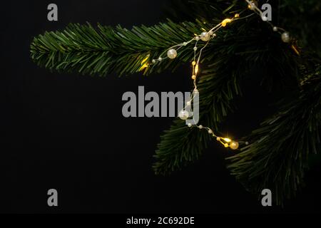 Fir branch on black background with garland. Space for text, isolated. Stock Photo