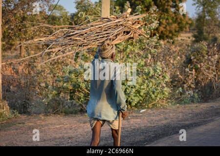 TIKAMGARH, MADHYA PRADESH, INDIA - MARCH 24, 2020: Unidentified rural old age man carrying firewood on road. Stock Photo