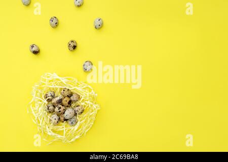Quail eggs flying in the nest on yellow background. Organic food. Rustic style. Top view, pattern. Stock Photo