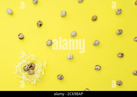 Quail eggs in and around the nest on yellow background. Organic food. Rustic style. Top view, pattern. Stock Photo