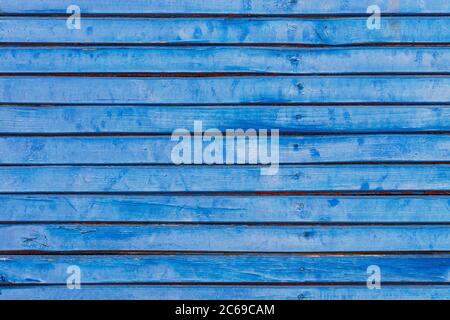 Fence from an old lining board clapboard covered with blue paint with a weathered cracked surface. Stock Photo