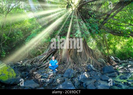 silhouette man meditating under a tree tried in tropical forests in summer morning peaceful way to relax the soul of the trip in Vung Tau, Vietnam Stock Photo