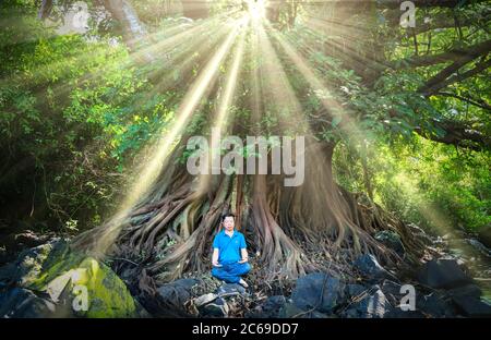 silhouette man meditating under a tree tried in tropical forests in summer morning peaceful way to relax the soul of the trip in Vung Tau, Vietnam Stock Photo