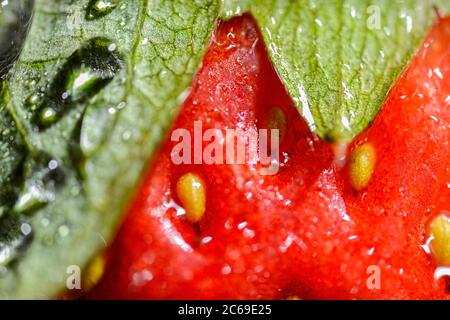 Ultra macro photo of a fresh Australian Strawberry Stock Photo - Alamy