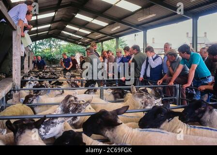 The Sheep Market, Melton Mowbray, Leicestershire, East Midlands, England, UK Stock Photo