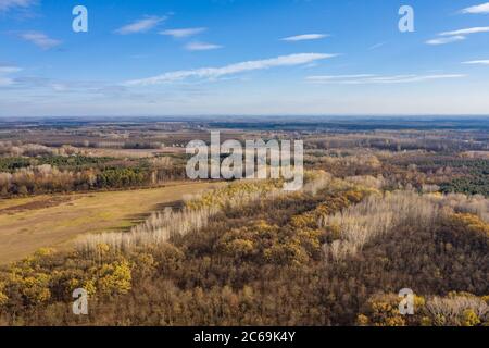 Dry autumn landscape, aerial view of field and forest, artistic landscape. Aerial view from above of the field in autumn. Field texture in autumn Stock Photo