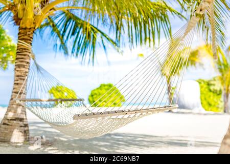 Hammock between two coconut trees on a tropical island with beautiful beach. Blurred tropical landscape Stock Photo