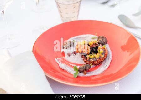 Warm octopus salad with stir fried vegetables and gourmet sauce on white plate. Delicious healthy mediterranean traditional seafood closeup serve Stock Photo