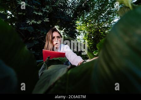 Young agricultural engineer examines leaves in greenhouse Stock Photo