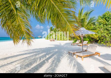 Tropical beach background as summer landscape with lounge chairs and palm trees and calm sea for beach banner. Summer travel destination Stock Photo