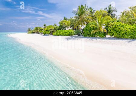 Summer vacation on a tropical island with beautiful beach and palm trees. Luxury travel background, exotic beach landscape, sunny weather, tropics