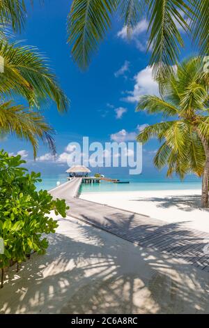 Summer vacation on a tropical island with beautiful beach and palm trees. Luxury travel background, exotic beach landscape, sunny weather, tropics Stock Photo