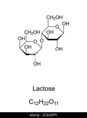 Lactose, milk sugar, chemical structure. A disaccharide composed of the two monosaccharides galactose and glucose. Found in dairy products. Stock Photo