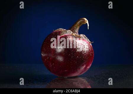 One round eggplant with water drops, with a reflection on a dark blue or black background. Isolated Stock Photo