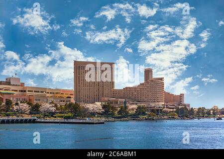 tokyo, japan - mars 04 2020: Seascape of artificial Odaiba island at springtime with tourists enjoying the cherry blossoms trees flowering in front of Stock Photo