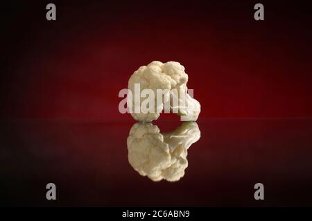 One cauliflower with a reflection on a dark red or black background, with water drops, isolated, shot in a Studio Stock Photo