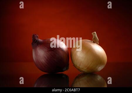 Two bulbs of red and brown onions isolated on a dark orange or black background with a reflection, shot in the Studio Stock Photo