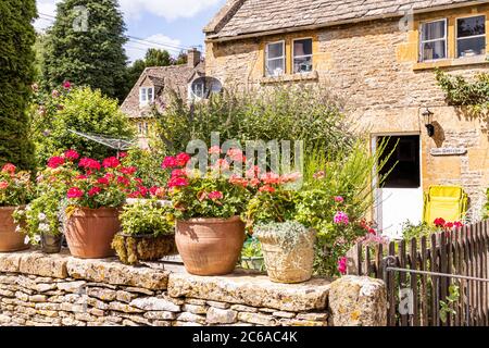 Geraniums in pots outside Rose Cottage in the Cotswold village of Naunton, Gloucestershire UK Stock Photo