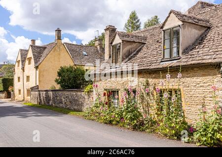 Hollyhocks flowering outside old stone cottages in the Cotswold village of Naunton, Gloucestershire UK Stock Photo