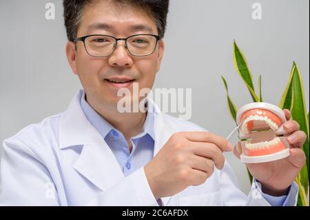 A middle-aged Asian dentist holding tooth model and dentistry equipment tools in hand. Stock Photo