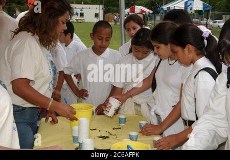 Austin Texas USA, April, 2004: Middle school students 6th and 7th grade learn about water and wastewater issues at City of Austin-sponsored Blue Thumb outdoor science event. Hispanic students looking at 'Dillo Dirt' fertilizer made from sewage waste.  ©Bob Daemmrich Stock Photo