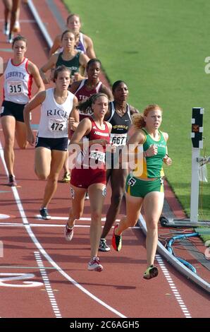 Austin, Texas USA, June 2004: Women competing in the 800-meter run at the National Collegiate Athletic Association (NCAA)) Division I Outdoor Track & Field Championships.  ©Bob Daemmrich Stock Photo