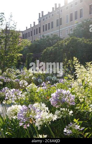 Venedig, Giardini Reali (Königlicher Garten) // Venice, Royal Garden (Napoleon's Gardens) Stock Photo