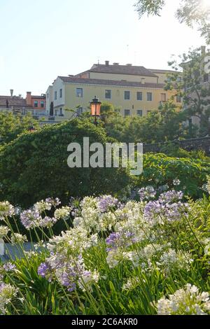 Venedig, Giardini Reali (Königlicher Garten) // Venice, Royal Garden (Napoleon's Gardens) Stock Photo