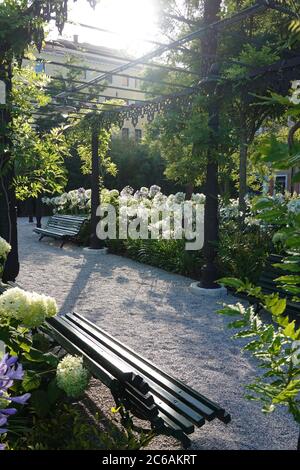 Venedig, Giardini Reali (Königlicher Garten) // Venice, Royal Garden (Napoleon's Gardens) Stock Photo