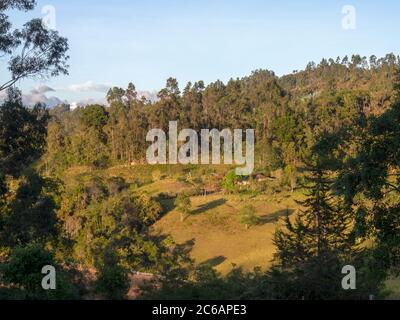 Landscape photography of the forest and mountain of Iguaque at sunset, in the central Andean mountains of Colombia Stock Photo