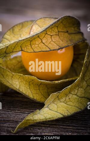 Physalis, or Cape Gooseberry fruit over old wood background. Vintage ...