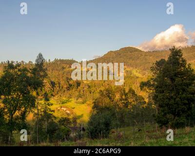 Landscape photography of the forest and mountain of Iguaque at sunset, in the central Andean mountains of Colombia Stock Photo