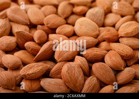 Close up of dried apricot kernels Stock Photo