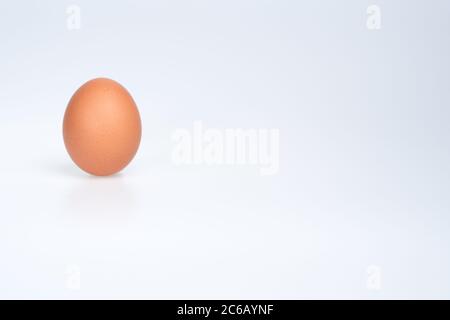 Brown chicken egg on white background Stock Photo