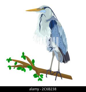 Blue Heron on tree branch isolated on white background. Heron bird.Wild egret with long beak and legs. Gray feathered stork. Stock vector illustration Stock Vector