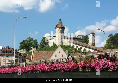 The medieval castle Munot in Swiss old town Schaffhausen, seen from bridge on Rhine with decoration red flower in summer day, Switzerland Stock Photo