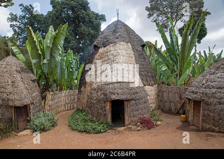 Traditional beehive huts of the Dorze tribe inhabiting the Gamo Gofa Zone of Southern Nations, Nationalities, and Peoples Region in Ethiopia, Africa Stock Photo