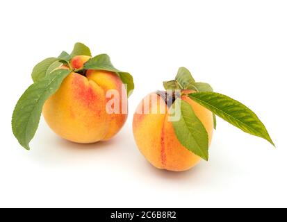 Two peaches with leafs isolated on white background Stock Photo