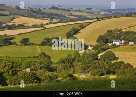 Mid-Devon agricultural countryside in early summer, seen from the prehistoric Cadbury Castle, near Tiverton, Devon, England, United Kingdom, Europe Stock Photo