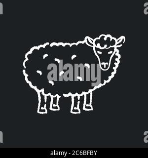 Sheep chalk white icon on black background. Common countryside mammal, farm wildlife, domestic animal. Livestock breeding, husbandry, farming. Wooly l Stock Vector