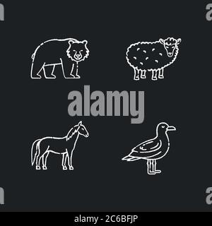 Domestic and wild animals chalk white icons set on black background. Bear, seagull, horse and sheep. Mammals and bird. Forest wildlife and farm livest Stock Vector