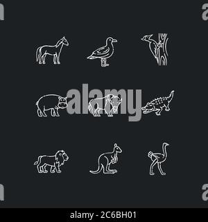 Flying and land animals chalk white icons set on black background. Common birds and exotic wildlife. Diverse herbivore mammals and carnivore predators Stock Vector