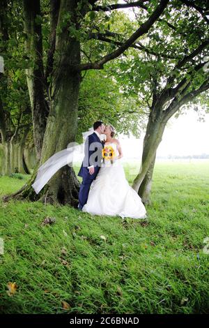 Bride & groom in Kent countryside. Couple, thirties, kiss as the bride holds bouquet of sunflowers and her veil blows in the wind. Groom in blue suit. Stock Photo
