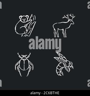 Mammals and insects chalk white icons set on black background. Tropical koala, forest deer, scarab beetle and honeybee. Exotic and ordinary animals. I Stock Vector
