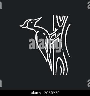 Woodpecker chalk white icon on black background. Common bird, forest inhabitant, flying woodland creature. Zoology, ornithology. Pecker sitting on tre Stock Vector