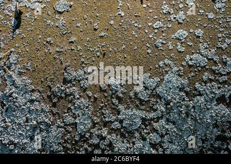 rusty iron texture on background. Old metal texture Stock Photo